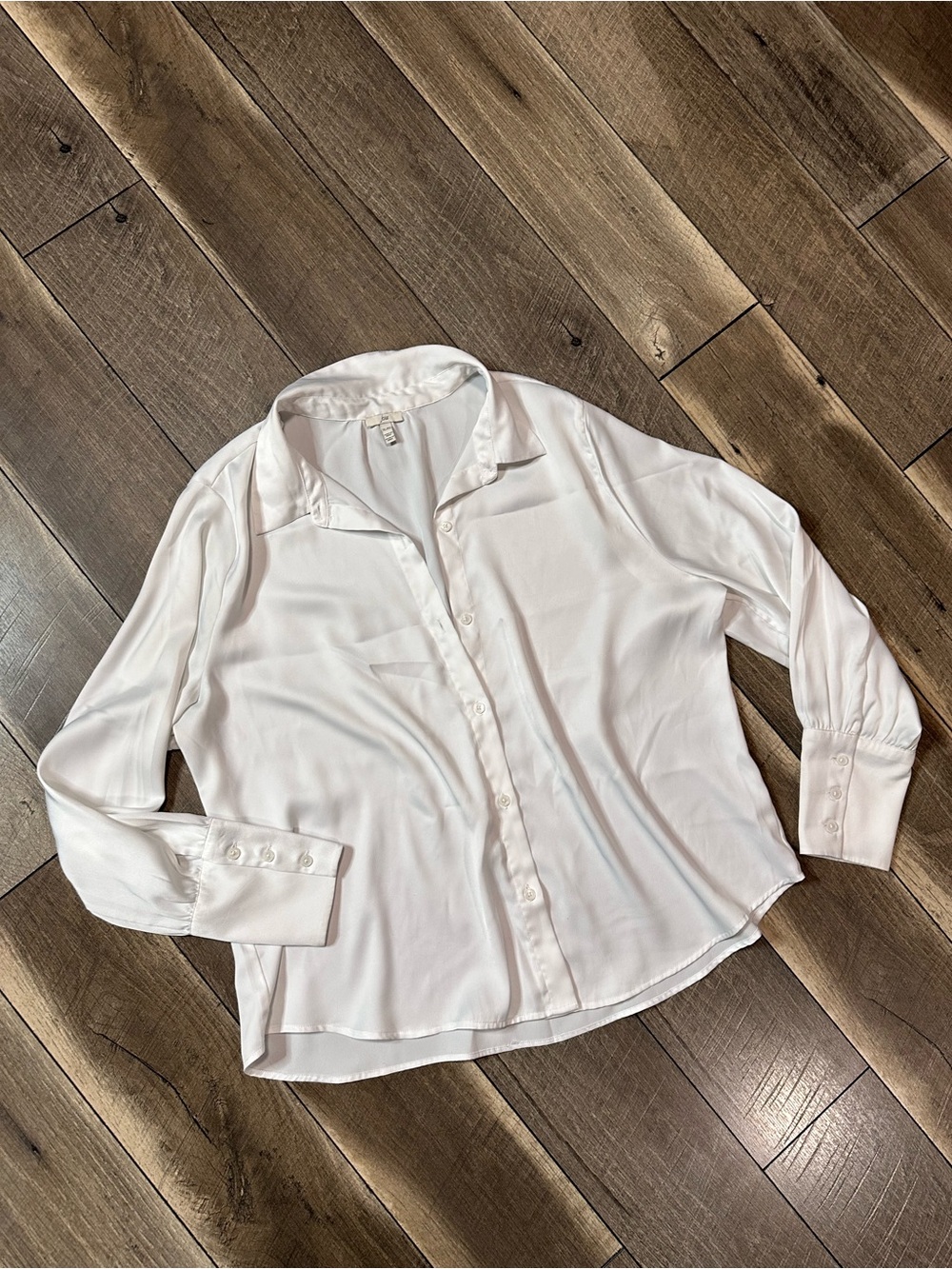 Joie Silky Button Down Blouse
